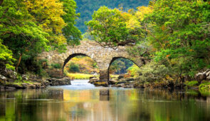 Scenery near Muckross Estate