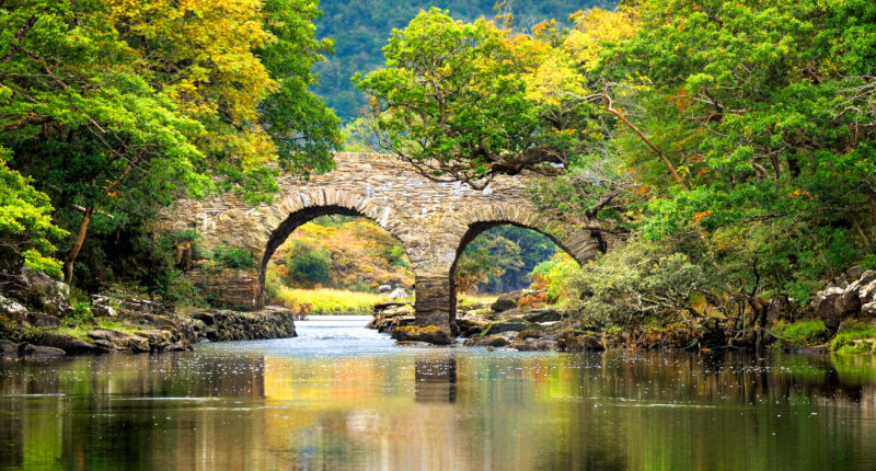 Scenery near Muckross Estate