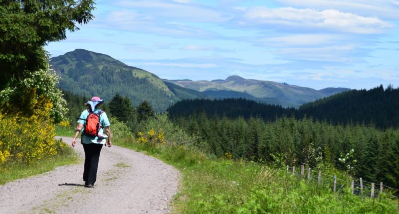 An Absolute Escapes client walking from Dryman to Aberfoyle (credit - Peter Currie)
