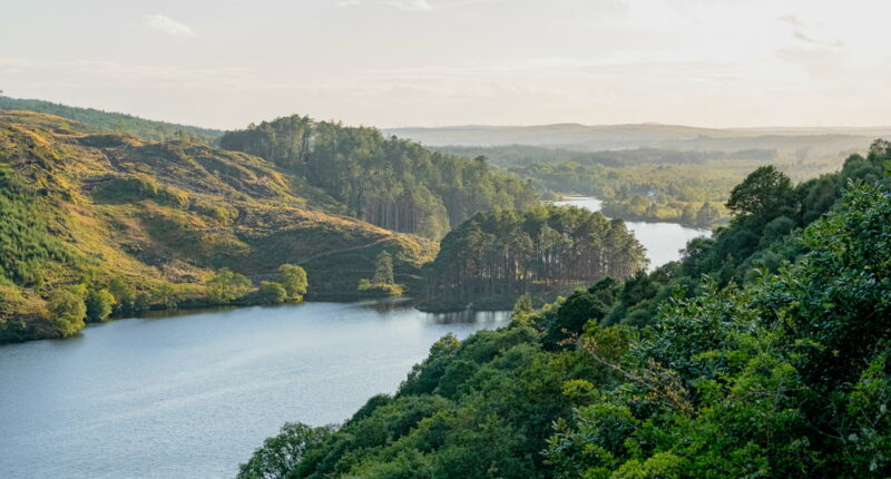 Loch Trool in the Galloway Forest Park