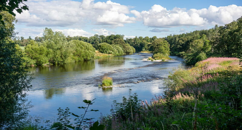 The Tweed River on the Melrose to Jedburgh section (credit - our client, Bob Siegel)