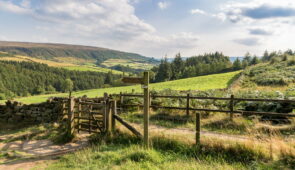 View across the North York Moors (credit - Bernd Brueggemann)