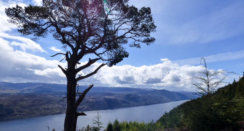 Incredible views of Loch Ness