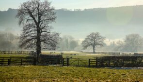 Lower Wharfedale