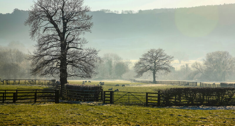 Lower Wharfedale