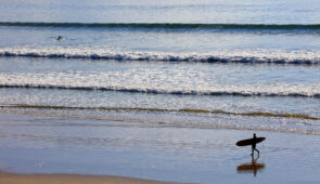 The wildlife sanctuary of Inch Strand