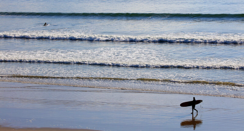 The wildlife sanctuary of Inch Strand