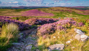 The Cheviot Hills