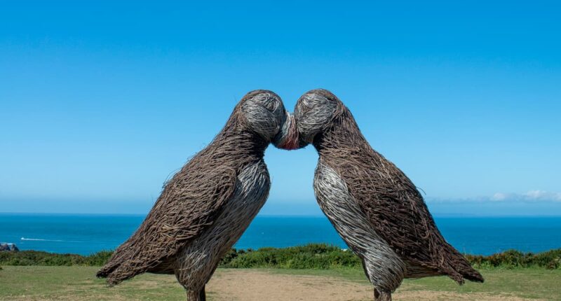 Puffin statues at Plémont