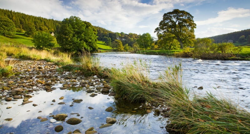 River Wharfe (credit - Lee Beel, Visit Britain)