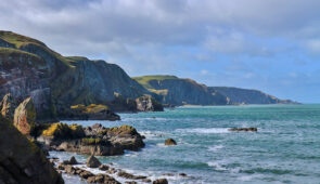 Coastal scenery on the Berwickshire Coastal Path