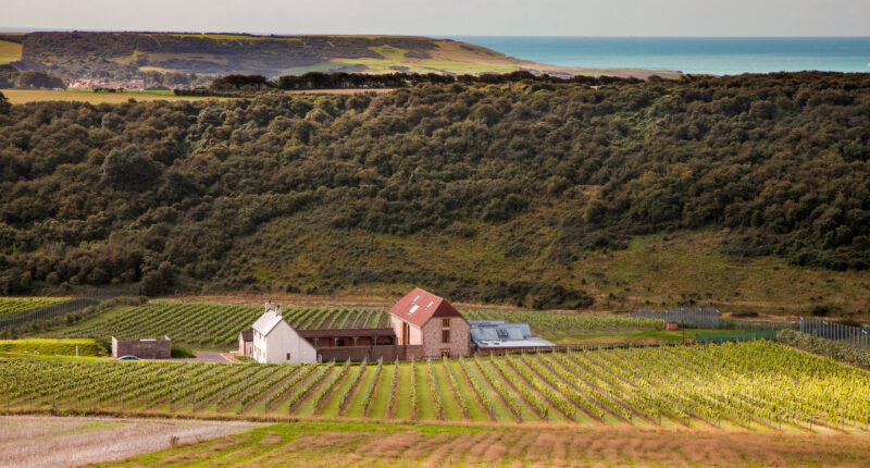 Rathfinny Wines, Alfriston, East Sussex