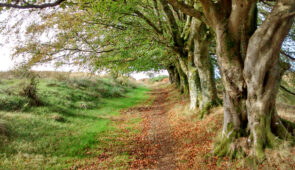 The John Muir Way