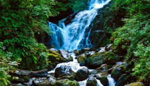 Torc Waterfall in Killarney National Park