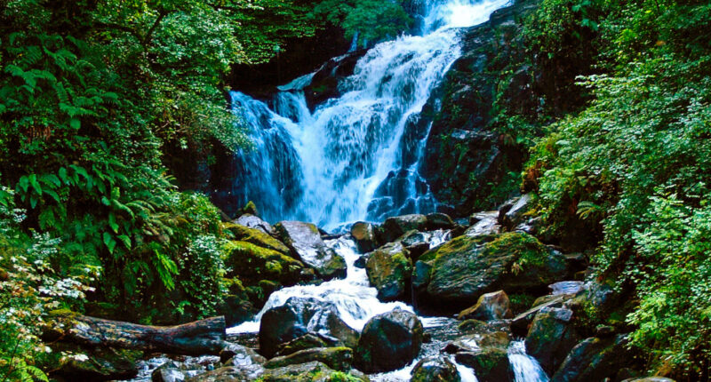 Torc Waterfall in Killarney National Park