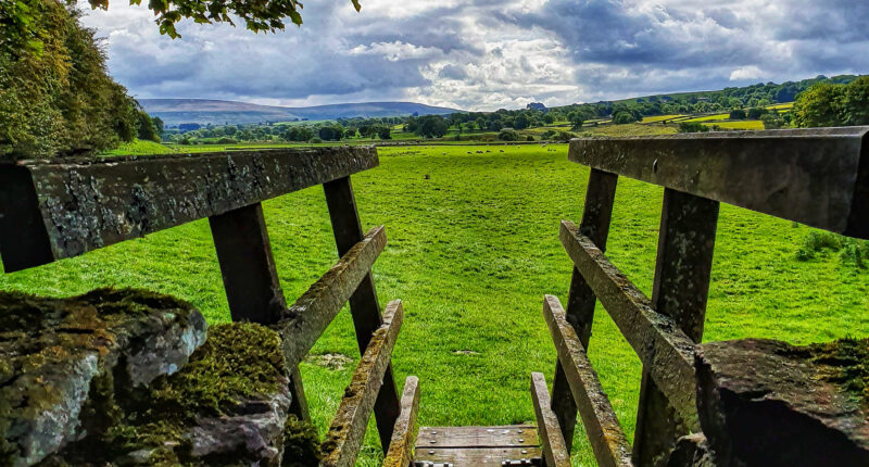 Views back towards Aysgarth on the Herriot Way