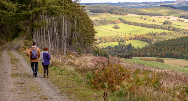 Walking through the Scottish Borders on the Southern Upland Way