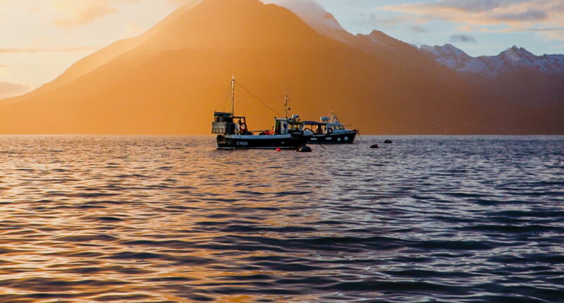 Sunset views on the walk from Sligachan to Elgol (credit - Zoe Kirkbride)