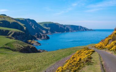 St Abb's Head, Berwickshire