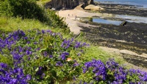 St Andrews Castle