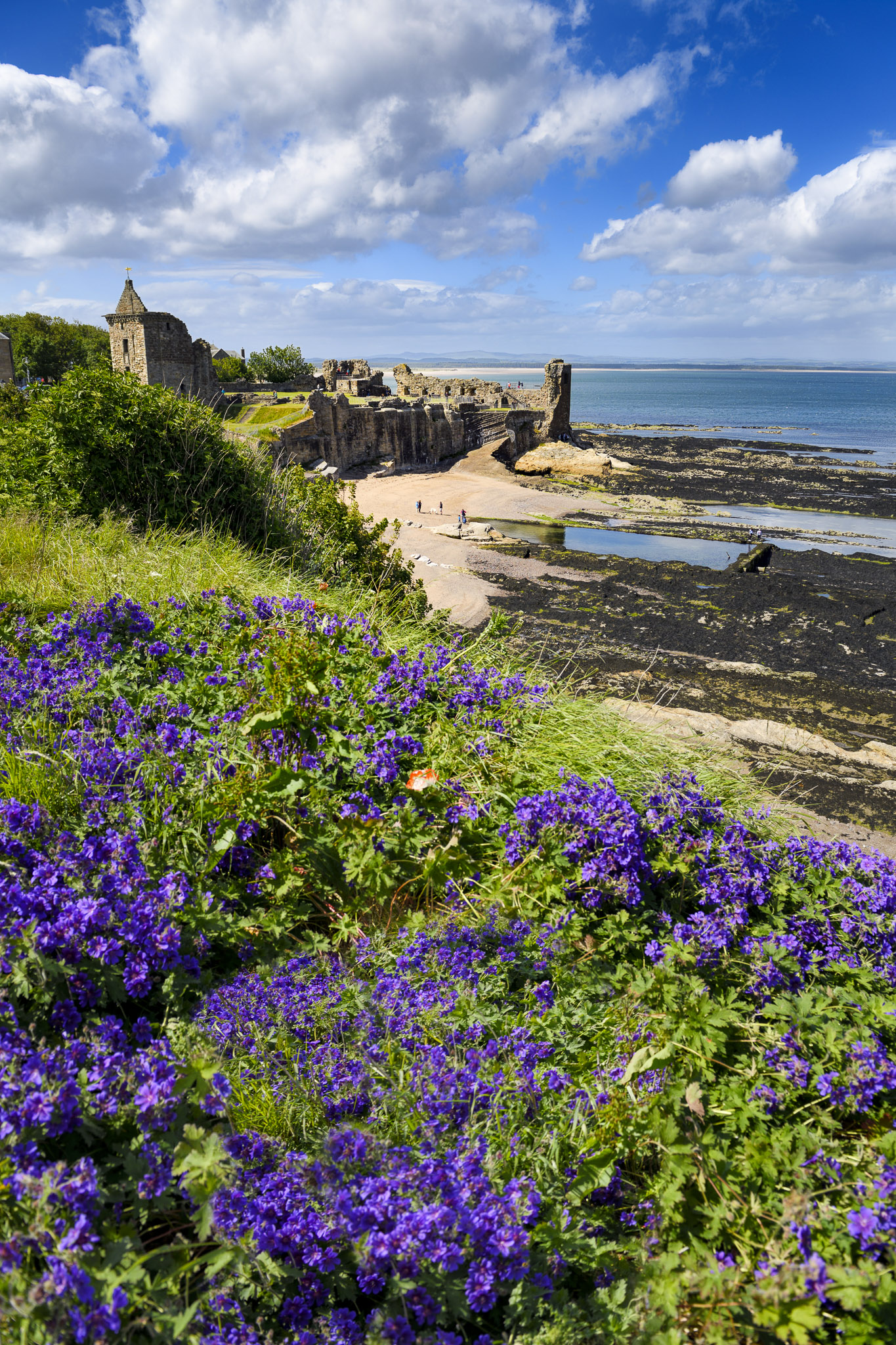 Fife Coastal Path Walking Holidays Absolute Escapes