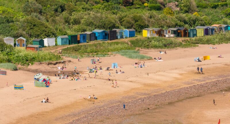 The beach at Coldingham Bay