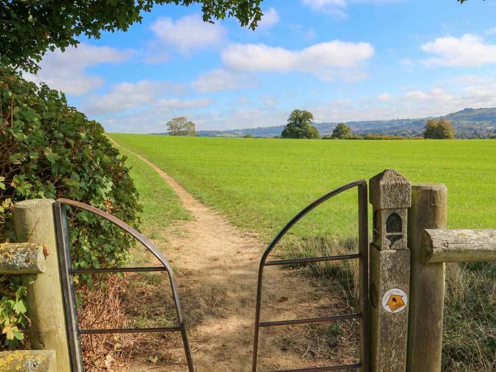 4. Very gradual ascent to Standish Wood through green fields above Storud