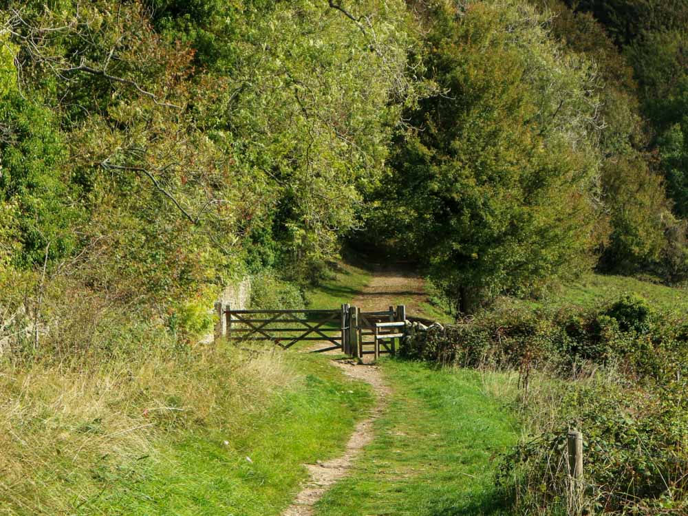 9. Descending into the woods from Scottsquar Hill