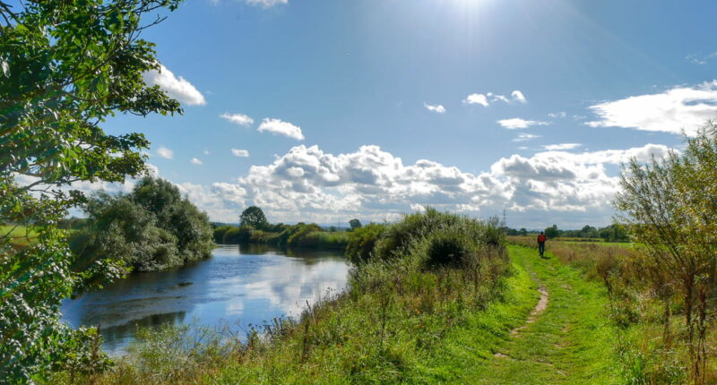 River Eden in the sunshine (credit - Daisy Andrews)