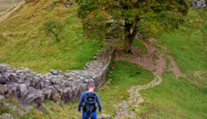 Descending to Sycamore Gap near Once Brewed
