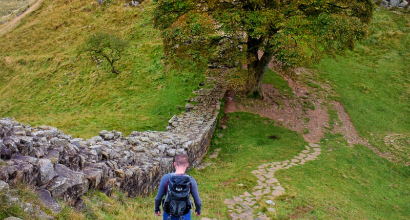 Descending to Sycamore Gap near Once Brewed