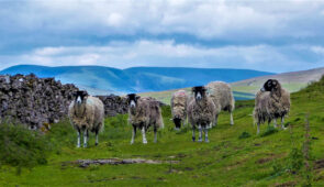 Friendly locals on the Lady Anne's Way