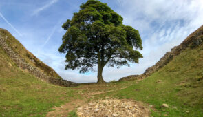 Sycamore Gap on Hadrian's Wall Path
