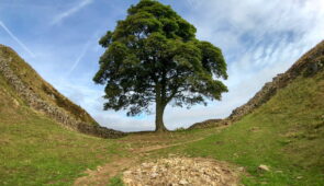 Sycamore Gap on Hadrian's Wall Path