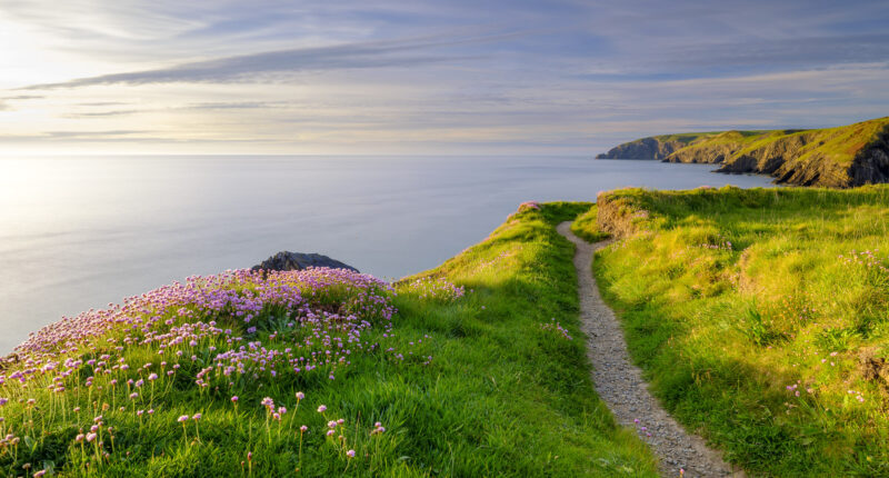 Pembrokeshire Coast Path and Ceibwr Bay