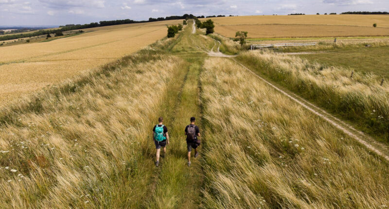 Walkers on the Ridgeway