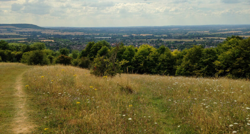 Views north-west from Whiteleaf Nature Reserve