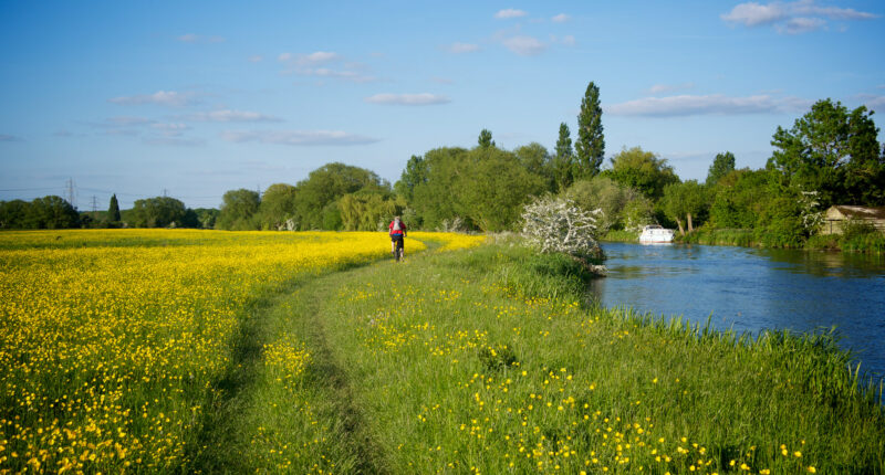 Exploring the Thames