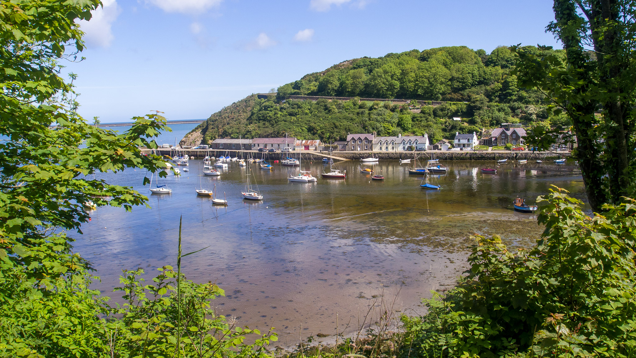Lower Town of Fishguard