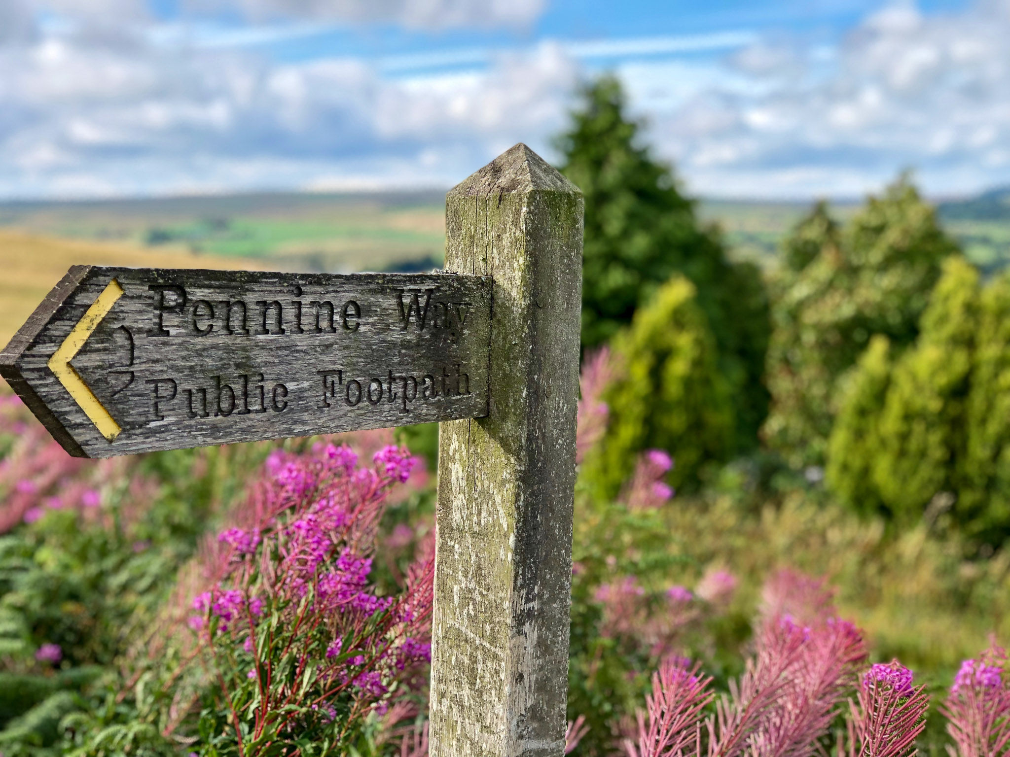 Signpost near Bellingham on the Pennine Way