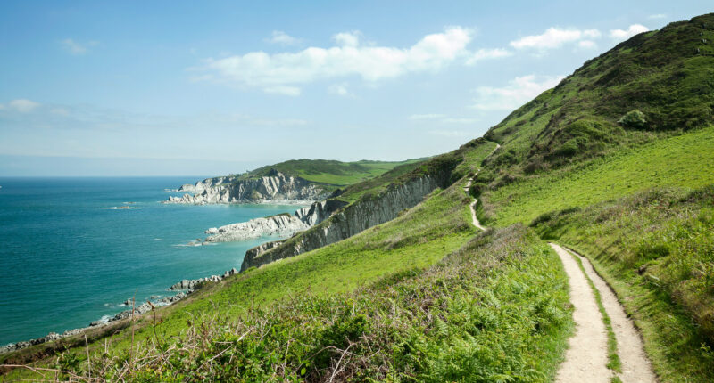 Coastal path towards Mortehoe, Devon