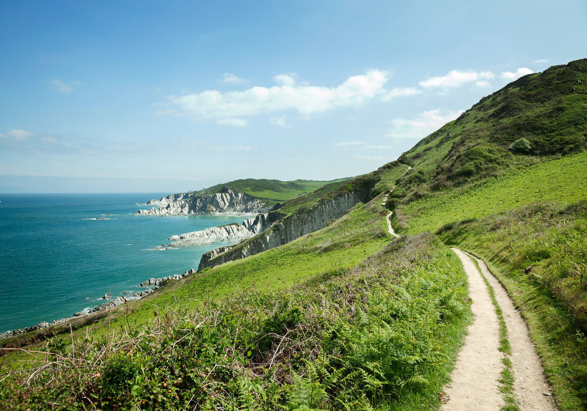 Coastal path towards Mortehoe, Devon