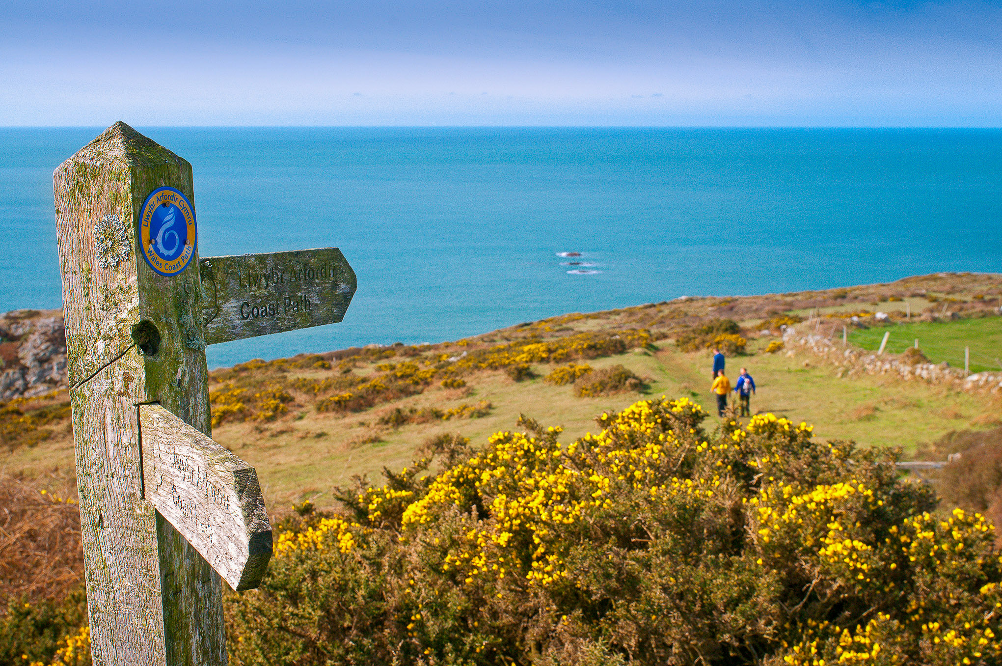 Pembrokeshire Coast Path signpost