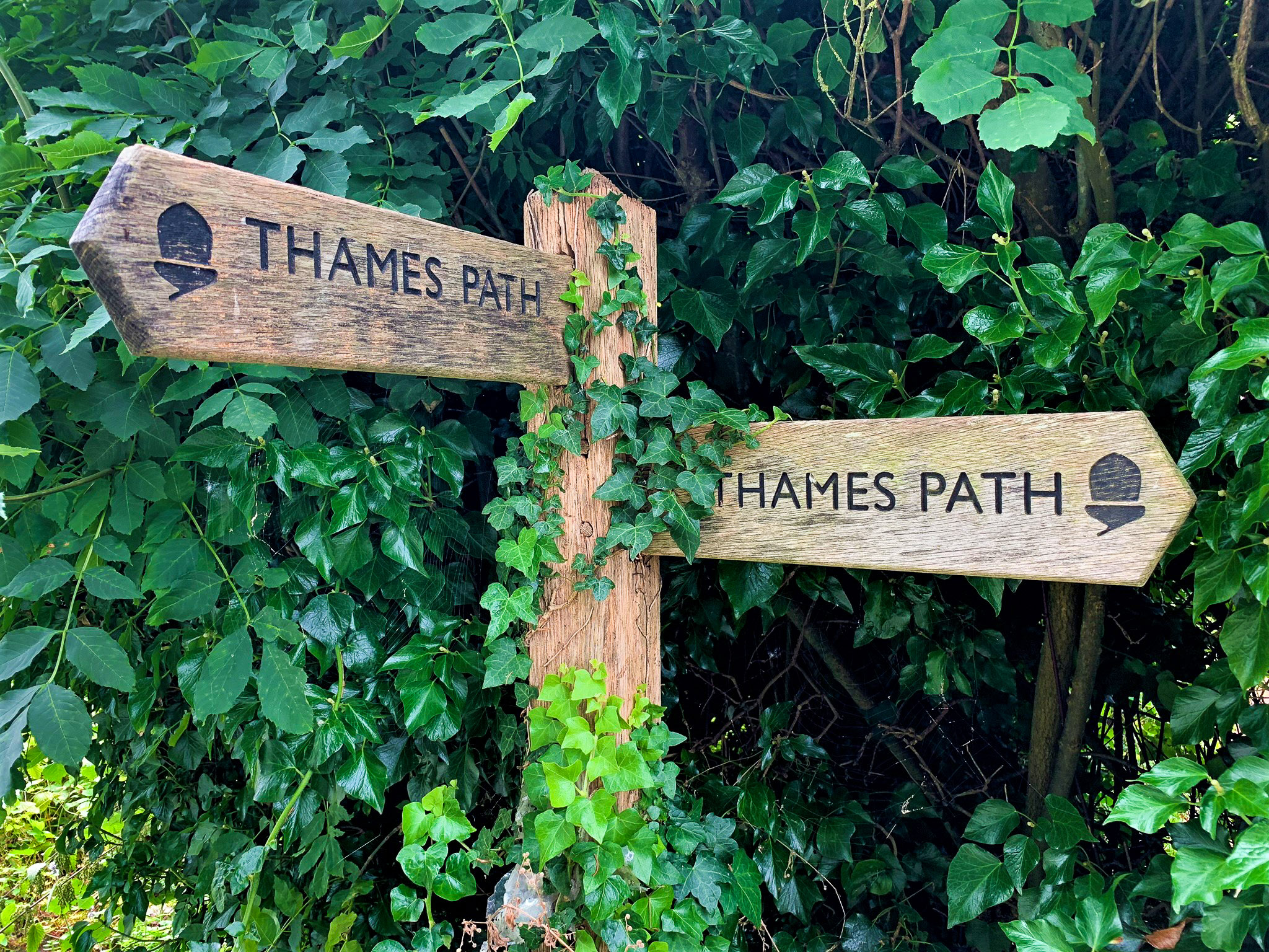 Thames Path waymarkers