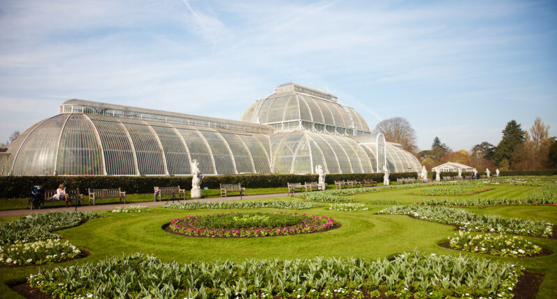 The Royal Botanic Gardens, Kew