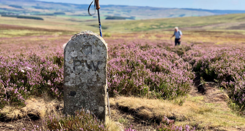 Pennine Way stone at Whitley Pike