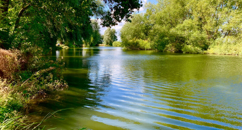 Overlooking the River Thames