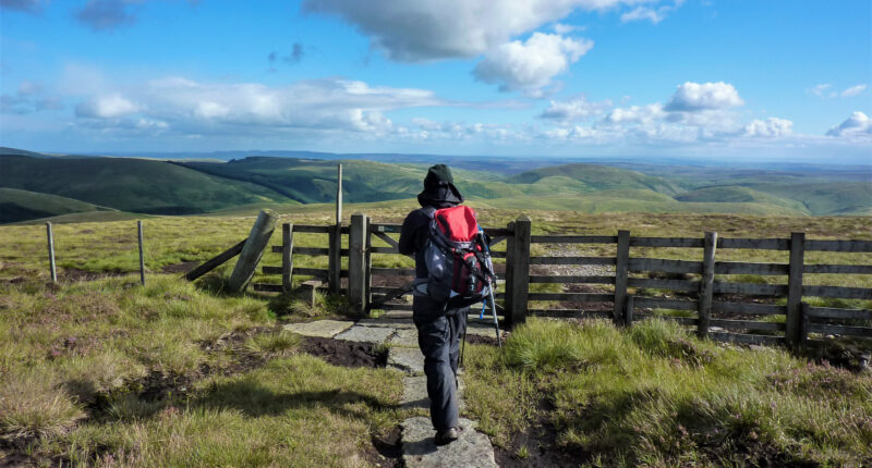 Walker in the Cheviot Hills on the Pennine Way