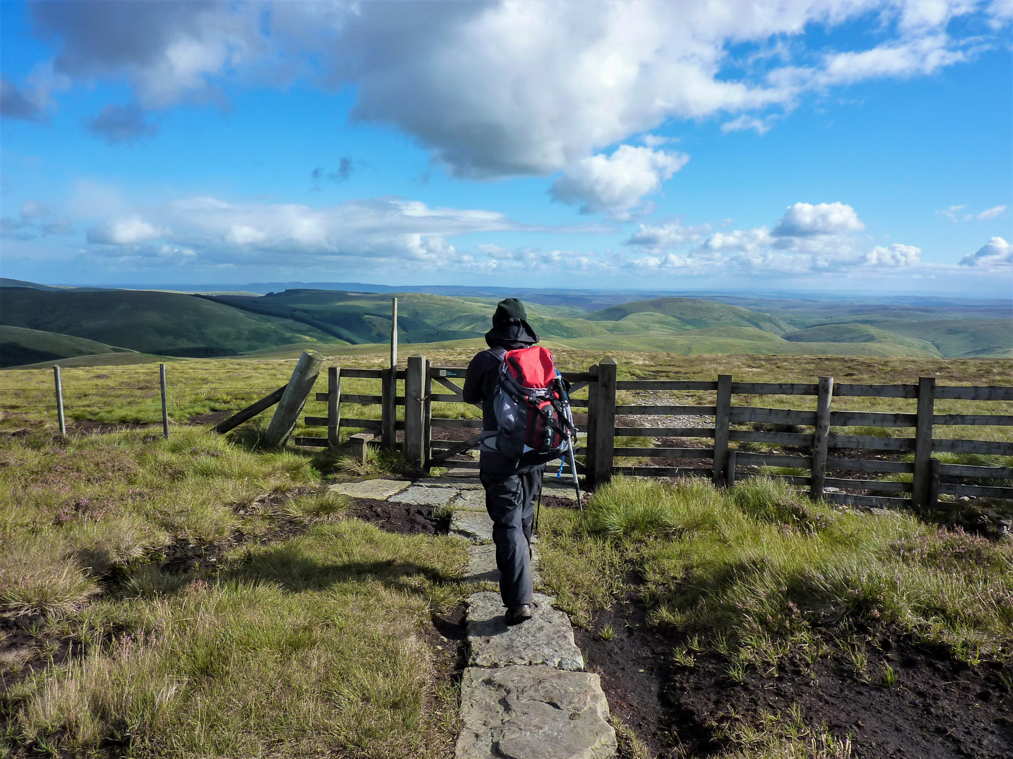 Walker in the Cheviot Hills on the Pennine Way