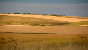 Rolling wheat fields on the Ridgeway